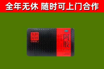 汕尾回收阿胶